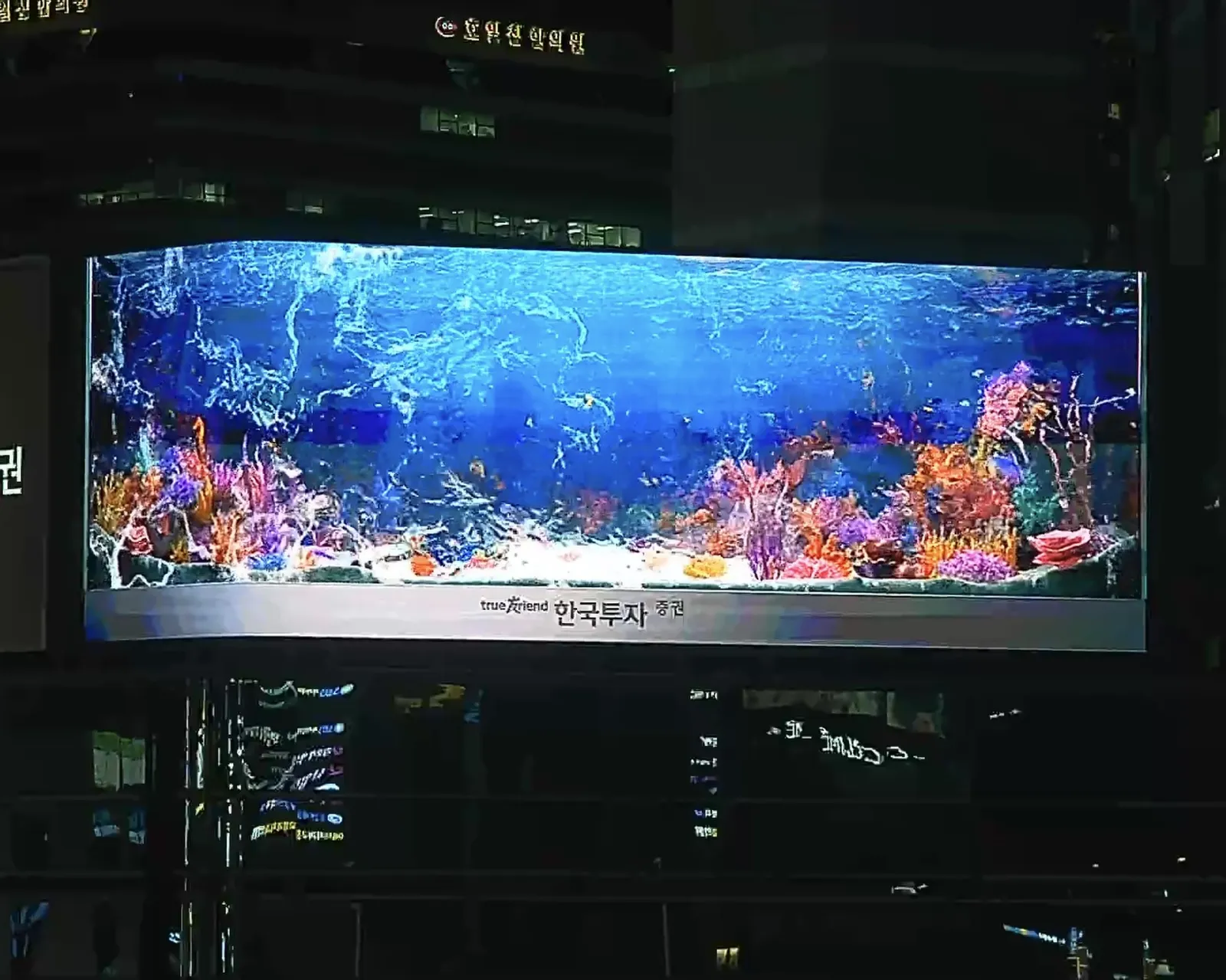 부산 서면 도심 건물 외벽 곡면형 옥외 LED 전광판, 야간 아쿠아리움 광고 영상 송출